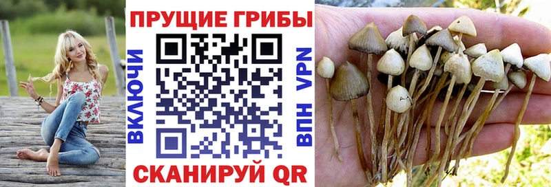 где купить   Барнаул  Галлюциногенные грибы ЛСД 