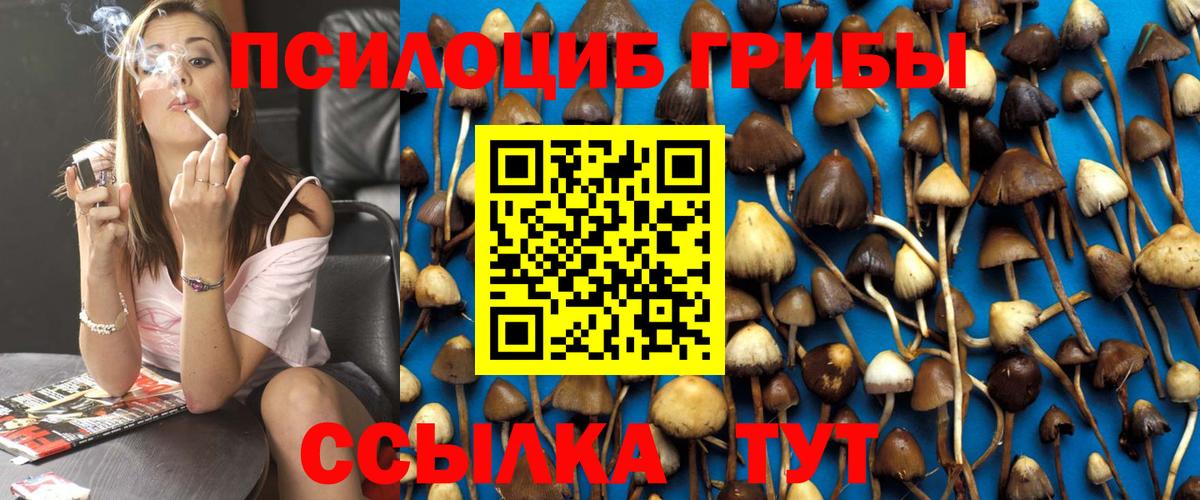Галлюциногенные грибы Psilocybe Барнаул