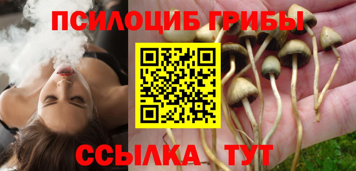 Псилоцибиновые грибы мухоморы  Вход с VPN  Галлюциногенные грибы MAGIC MUSHROOMS  Барнаул 