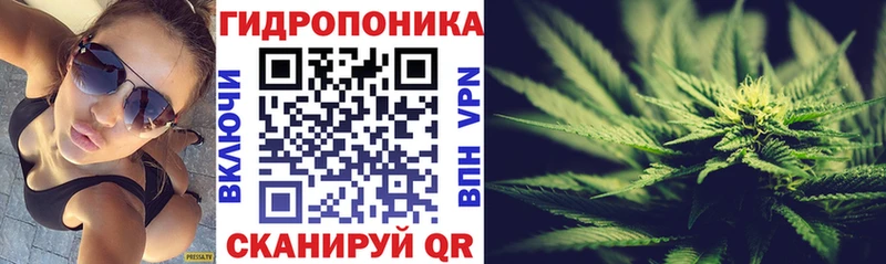 Шишки марихуана SATIVA & INDICA  даркнет сайт  Барнаул 